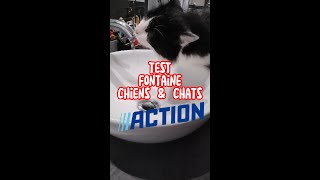 Test fontaine pour chiens et chats Action [upl. by Laufer]