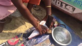 How to Fillet a Jack Fish  Fish Cleaning at Covelong Beach [upl. by Luanne]