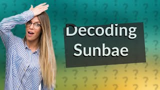 What does sunbae mean [upl. by Pirozzo]