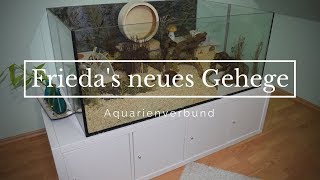 Friedas neues Gehege ♥  Aquarienverbund  Nana [upl. by Blight]