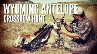 Antelope Crossbow Hunt  Blind Luck [upl. by Seana]