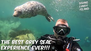 THE BEST GREY SEAL EXPERIENCE  Diving Lundy Island UK [upl. by Nahshun]