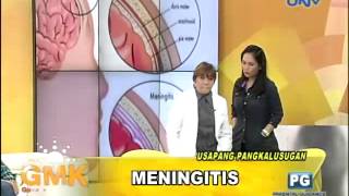 What is Meningitis [upl. by Elleiad]