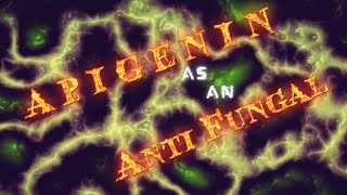 Apigenin as an antifungal [upl. by Hgielar569]