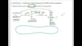 516 Understand not memorize metabolism Postprandial Cholesterol synthesis [upl. by Assirod]