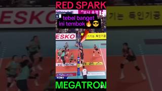 Gyselle silva di buat malu oleh pertahanan red spark park Eunjin😱😎volleyballmegawatihangestri [upl. by Eoz466]