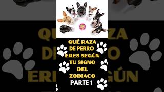 Qué raza de perro eres según tu signo del zodiaco Parte 1 [upl. by Ronoc736]