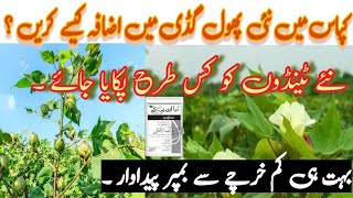 Plant growth regulators NPK and Amino acid use in cotton crop  vital NPK Niya NPK crop up complex [upl. by Sonitnatsok]