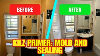 How To Add Kilz Primer To Prevent MoldMildew amp RePaint The Entire Bathroom With ReCaulking Tub [upl. by Pollerd]