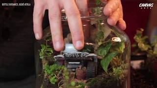 How To Make a Terrarium in a Jar  Easy DIYs [upl. by Lietman869]