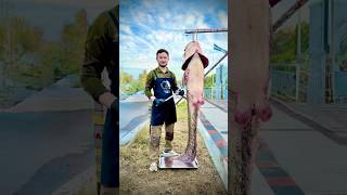 101 kg laqqa baliqdan kabob retsepti food cook asmr fish fishing [upl. by Radu576]