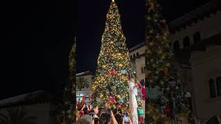 Disney Springs official Christmas kick off [upl. by Yartnod46]