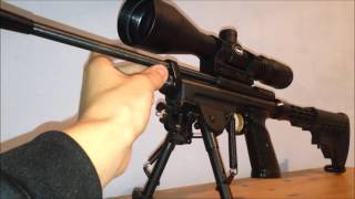 Crosman 2250 overview [upl. by Hapte920]