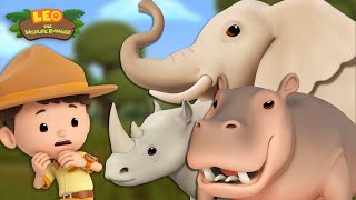 GIANT ANIMALS 🐘🦏 Elephants Hippopotamus and MORE 🎊  Leo the Wildlife Ranger  Kids Cartoons [upl. by Swerdna]