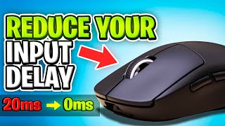 Mouse Optimization Guide for Fortnite 🔨5 EASY STEPS🔨 Get LESS Mouse Input Delay 🖱️✅ [upl. by Pavlov]