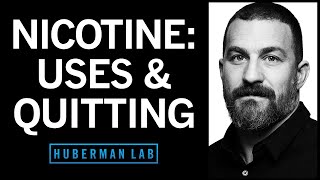 Nicotine’s Effects on the Brain amp Body amp How to Quit Smoking or Vaping  Huberman Lab Podcast 90 [upl. by Ronni531]