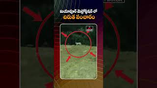 మియాపూర్‌ మెట్రోస్టేషన్‌ లో చిరుత సంచారం  Leopard at Miyapur Metro Station  MirrorTV Plus [upl. by Gaynor]