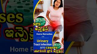 Symptoms and Causes of UTI in Diabetic Patients in Telugu trending shorts health ipl gameboy [upl. by Baskett]