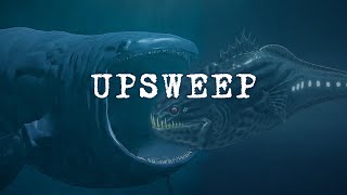 Upsweep Unidentified Deep Sea Sounds [upl. by Urbano]