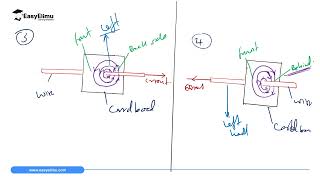 Using Ampares Swimming Rule  Physics Form 2 Topic 6 Magnetic Effect of an Electric Current [upl. by Alleroif]