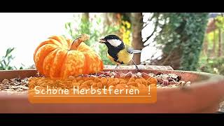 Schöne Herbstferien [upl. by Ignacius]