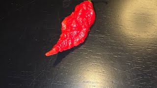 😭SUPER HOT PEPPERS GONE WRONG😭 this one HURT🔥 [upl. by Anomer]