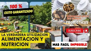 Estrategia Anual de Alimentación Proteica para tener las mejores abejas durante todo el año [upl. by Atnaloj]