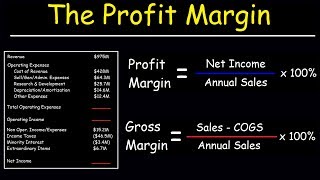 Profit Margin Gross Margin and Operating Margin  With Income Statements [upl. by Hallsy]