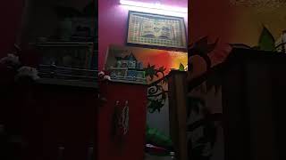 My home town today Chirag Roshan maula Ali ke naam ka 🌹❤️💚🤲🕋🌹Islamic videos [upl. by Euqinamod592]