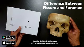 Difference Between Fissure and Foramen  The Charsi of Medical Literature [upl. by Wester598]