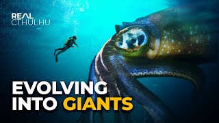 Why Do Deep Sea Creatures Evolve Into Giants [upl. by Conan602]