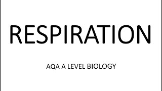 RESPIRATION  AQA A LEVEL BIOLOGY  EXAM QUESTION RUN THROUGH [upl. by Novit]