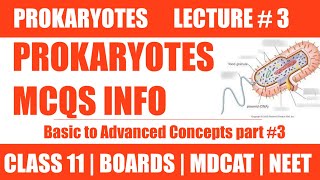 BEST MCQS amp CONCEPTS OF PROKARYOTES  LECTURE 2  CHAP PROKARYOTES  CLASS 11NMDCAT NEET [upl. by Llehcam]