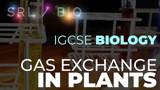 IGCSE Biology Required Practical Gas Exchange in Plants [upl. by Yelahc]