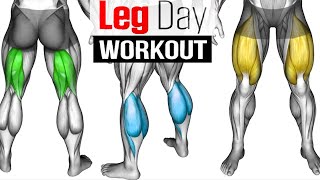 Full LEG Muscle Transformation 8 Best Exercises [upl. by Weismann]