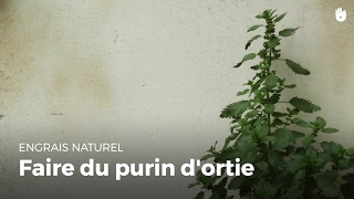 Faire du purin dortie  Faire un potager [upl. by Thessa]