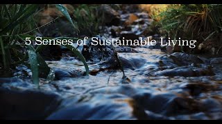 5 Senses of Sustainable Living  Fairyland Cottage [upl. by Tugman]