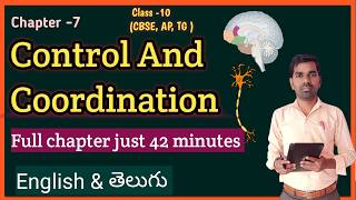 Class 10 Science Control and Coordination  CBSE  Ncert  biology in Telugu [upl. by Maccarone702]