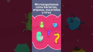 Conoce la Microbiota [upl. by Hutson]