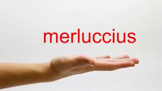 How to Pronounce merluccius  American English [upl. by Sydalg886]