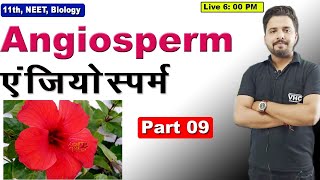 Part 09 Angiosperm एंजियोस्पर्म  11th Biology [upl. by Arica307]