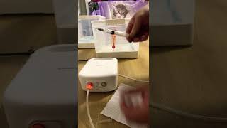 KITTENS LOVE This Nebulizer Trick 😻 [upl. by Prasad]