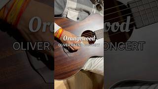 Experience the warm tone and smooth feel of the Orangewood Mahogany Oliver Guitar 🎸acousticguitar [upl. by Eadie]