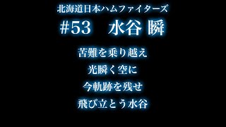 【オリジナル応援歌】北海道日本ハムファイターズ 53 水谷瞬 オリジナル応援歌 [upl. by Notsa]