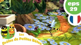 DRÔLES DE PETITES BÊTES  EP29  Qui veut des bisous [upl. by Faires]