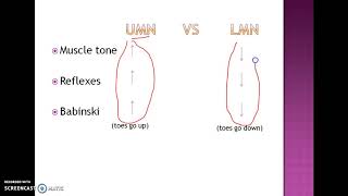 UMN vs LMN lesion made easy [upl. by Daphna]