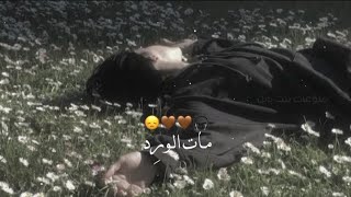 مات الورد فاركني عطره 💔😔 حالات واتساب حسينيه حزينه  مرتضى حرب 2024 🥀 نغمة رنين حسينيه [upl. by Willow]