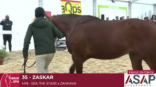 Lot 35  Zaskar [upl. by Garry]