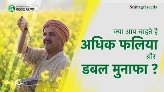 सरसों का हाइब्रिड बीजअधिक उपज ज्यादा दाम  Star Seed 1015 Call 👉 95092 28620 [upl. by Lenor]