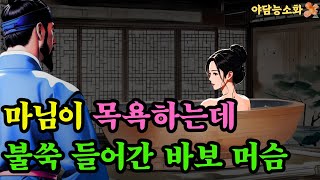 야담 능소화47 여종과 마님이 서로 좋아한 바보머슴  괴담 전설 민담 설화 야담 드라마 옛날이야기 [upl. by Vala176]